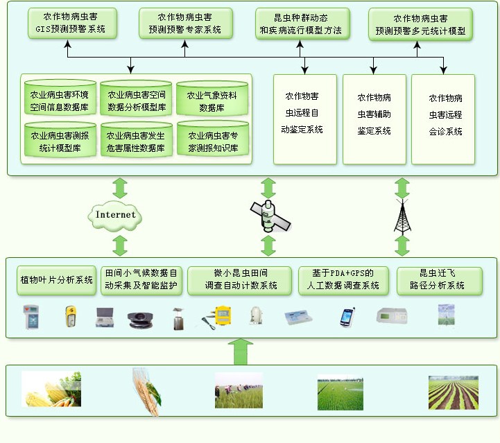 病蟲害智能檢測(cè)系統(tǒng)